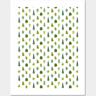 Woodland trees on white Posters and Art